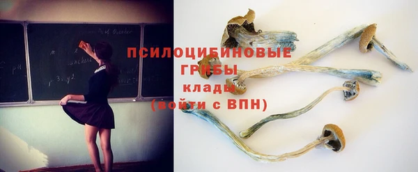 гидропоника Аркадак
