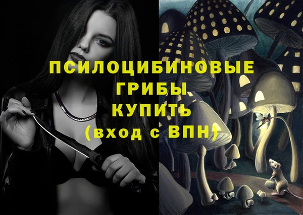 гидропоника Аркадак