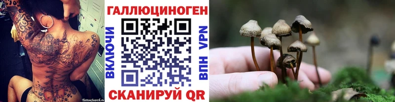 Галлюциногенные грибы Psilocybine cubensis  маркетплейс как зайти  Павловск  цены  